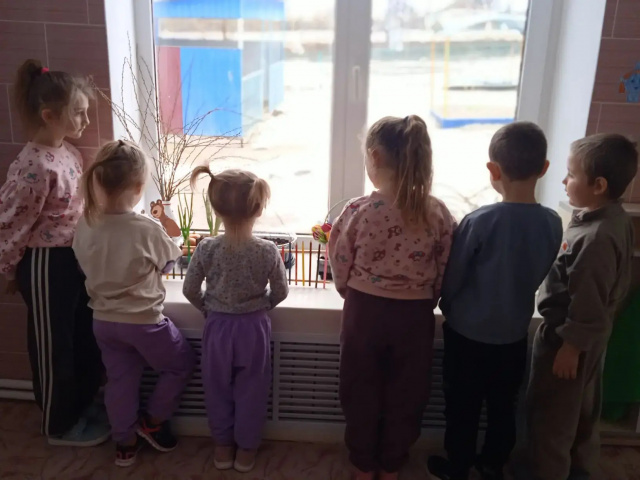 Что можно посадить в огороде?